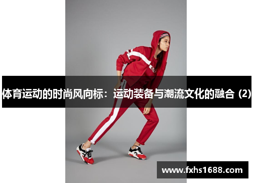 体育运动的时尚风向标：运动装备与潮流文化的融合 (2)